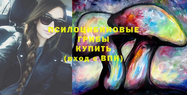 прущая мука Алзамай