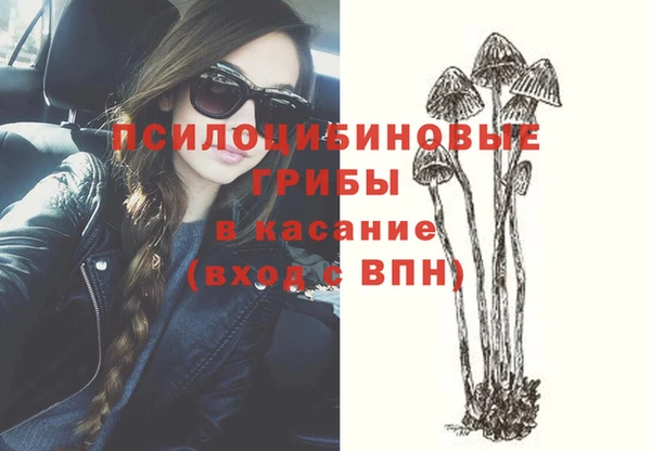 прущая мука Алзамай