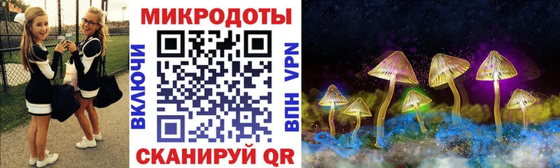 Псилоцибиновые грибы MAGIC MUSHROOMS  Любим 